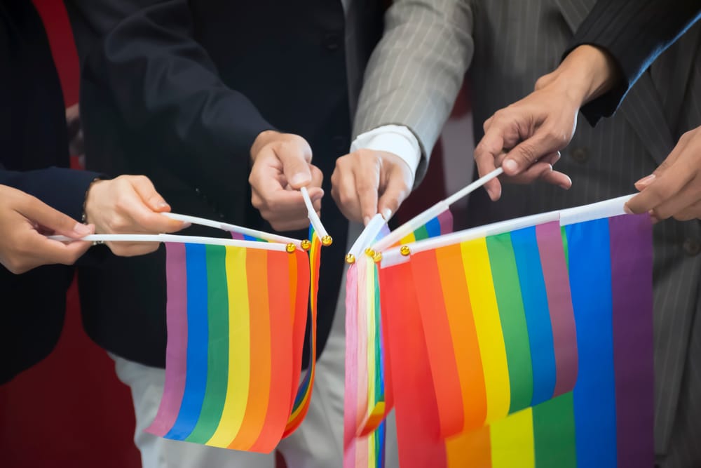 Minister’s Disability, Youth and LGBTIQA+ advisory council roles open post image