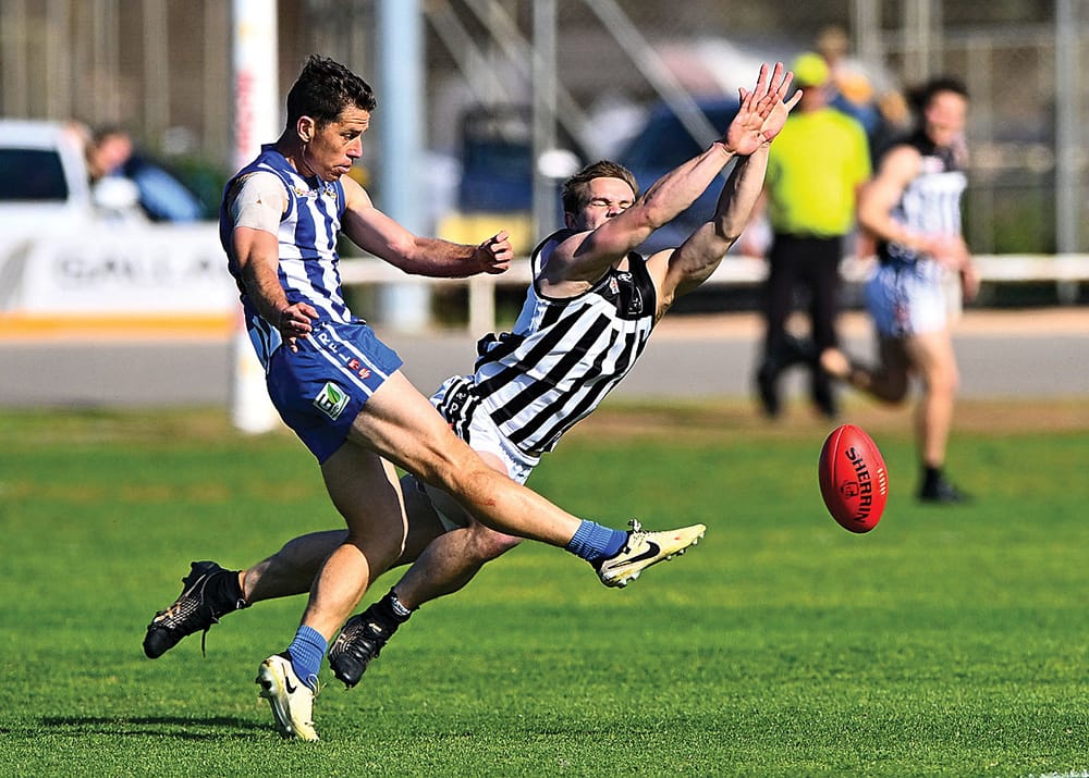 RFL end of year report cards: Renmark post image