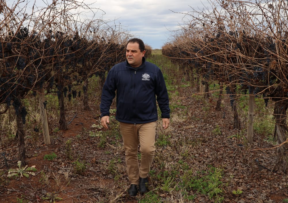 Our grape growers forgotten again? post image