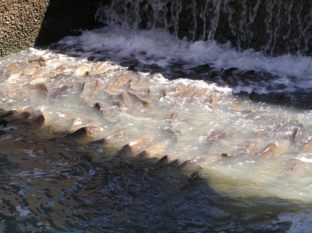 Water Matters: Who controls our river? post image