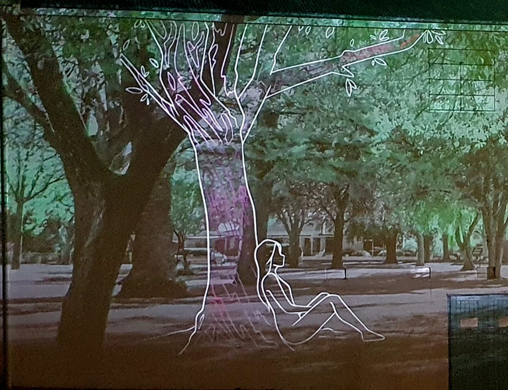 Hope for more projections on Bonney Theatre after successful first showing post image