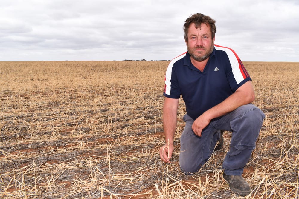 Entire paddocks, sheds and livestock lost post image