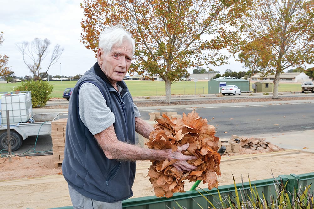 Be-leaf it, this is a mess post image