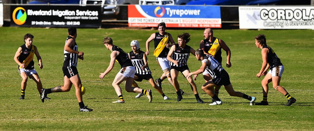 Tough draw for Demons, Panthers post image