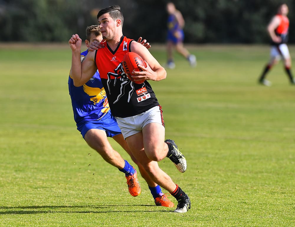 Redbacks sticking together post image