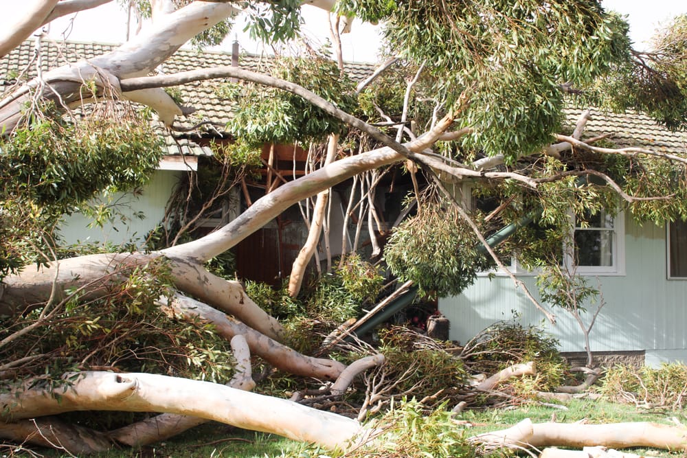 Waikerie’s tornado-like winds post image