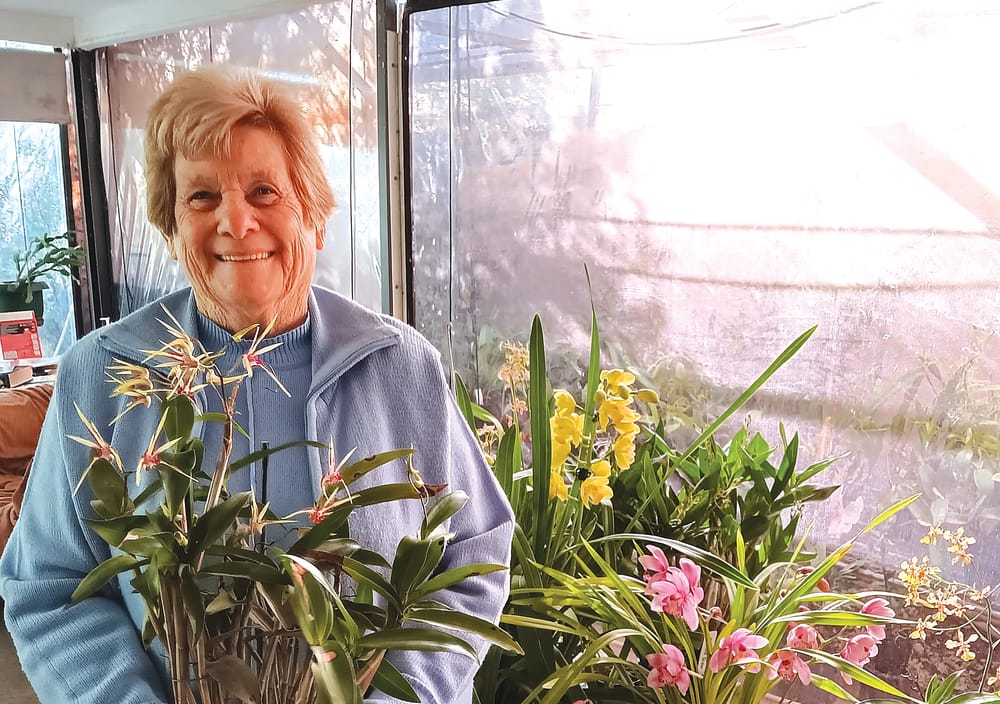 Riverland Orchid Society Winter Show in Barmera post image