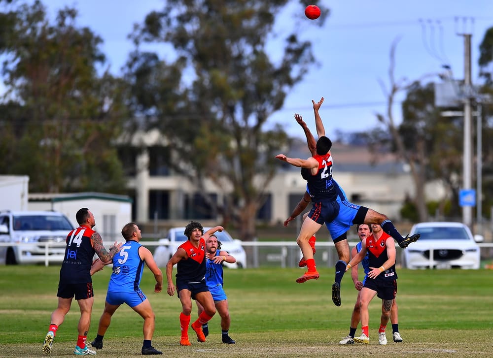 Ridgway's Berri back in business post image