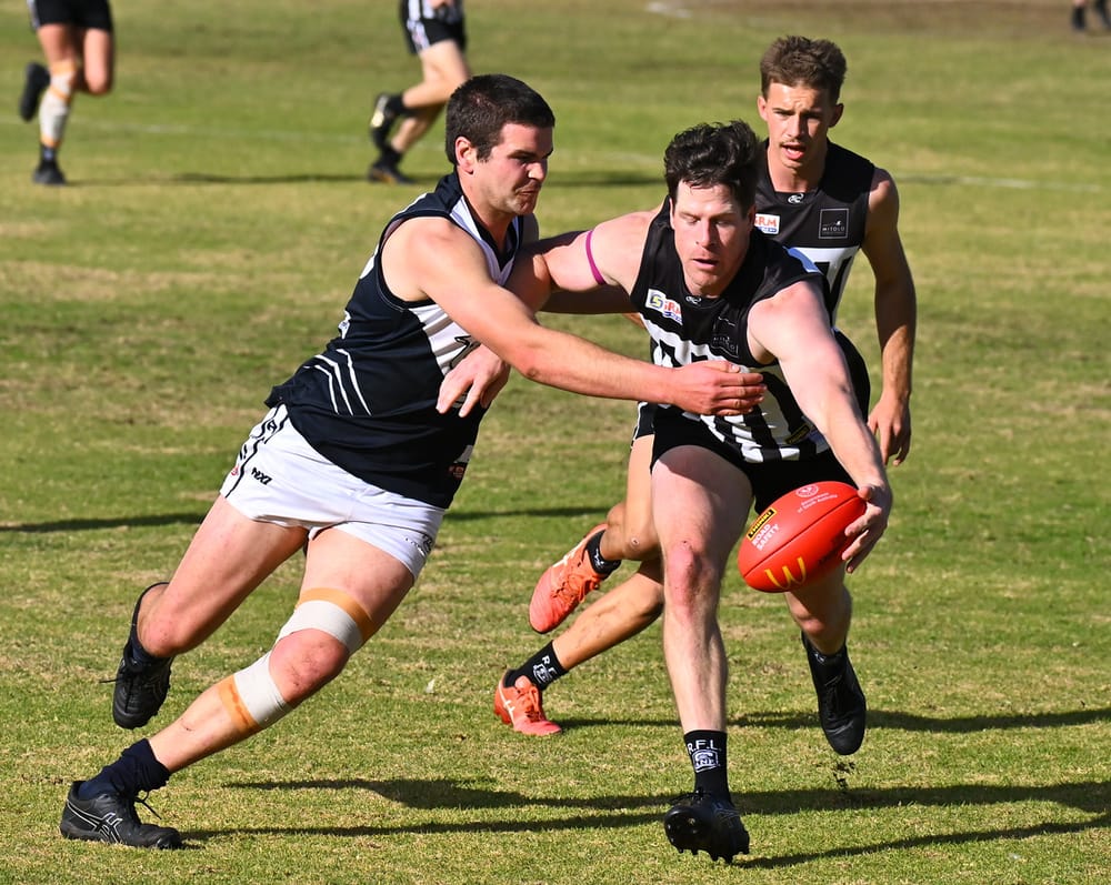 Magpies eyeing off top two post image