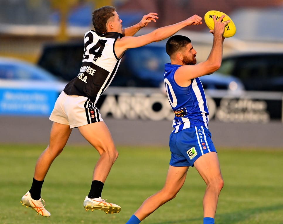 Rovers continue winning ways at the kennel post image
