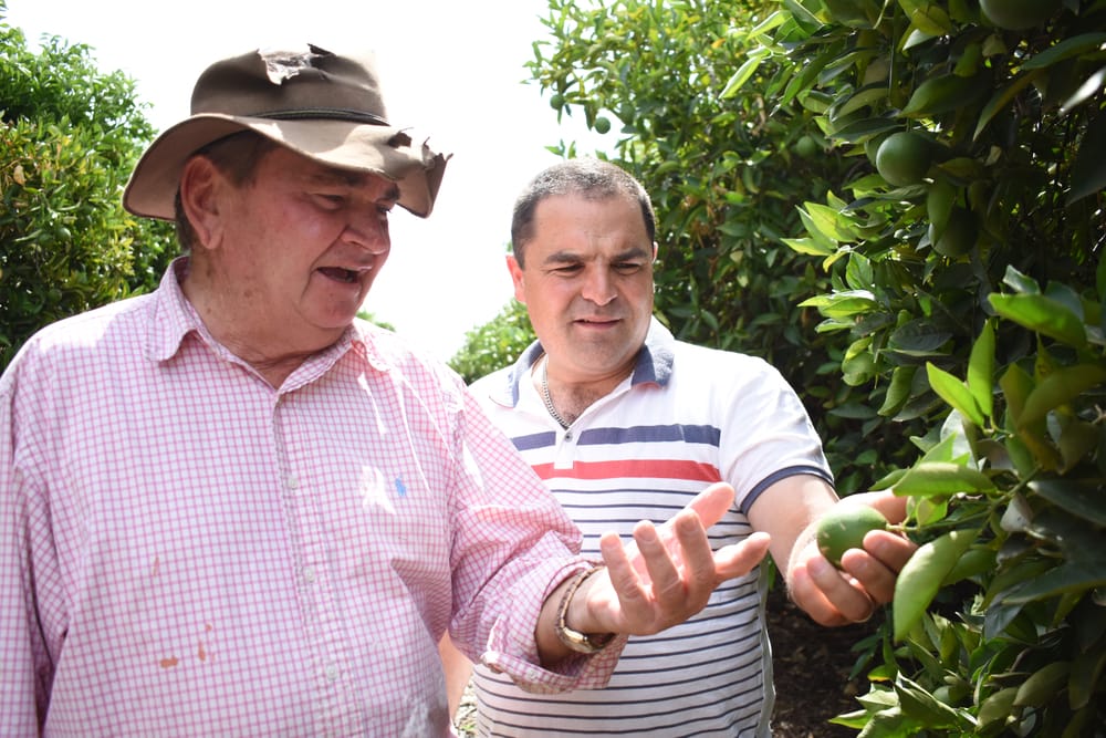 $30 million to fight fruit fly post image