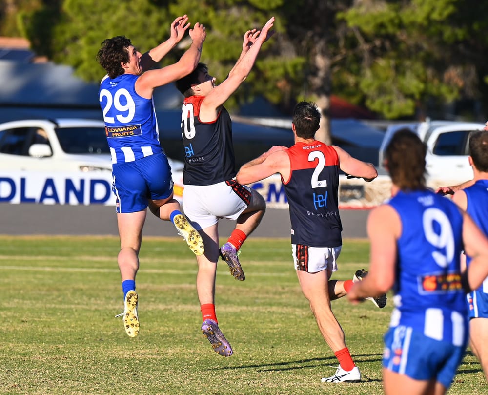 Experienced Rovers hold off brave Berri post image