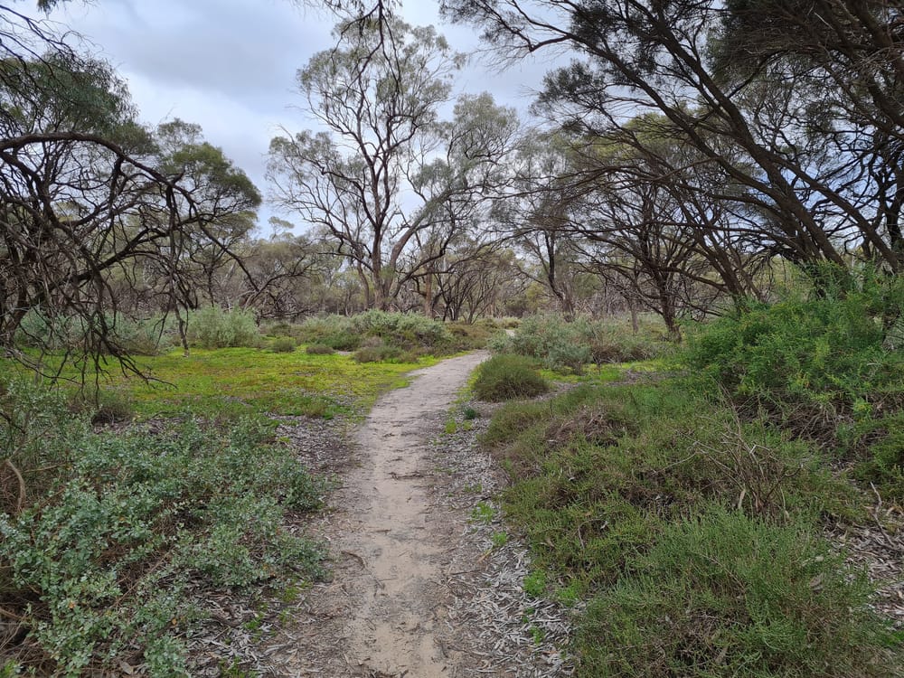 ‘Master plan’ for environmental tourism post image