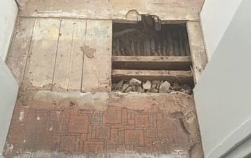 Termite delay at Waikerie Institute post image