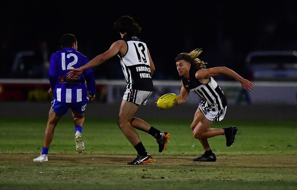 Rivalry ignites at Magpies nest post image