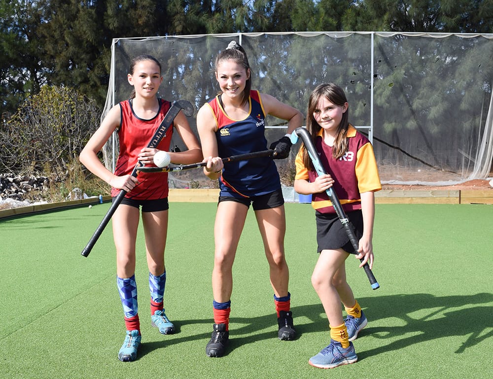 Hockey-tragic family’s backyard goals post image