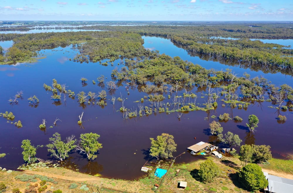 Growing Regions Program funding ‘largely effective’ post image