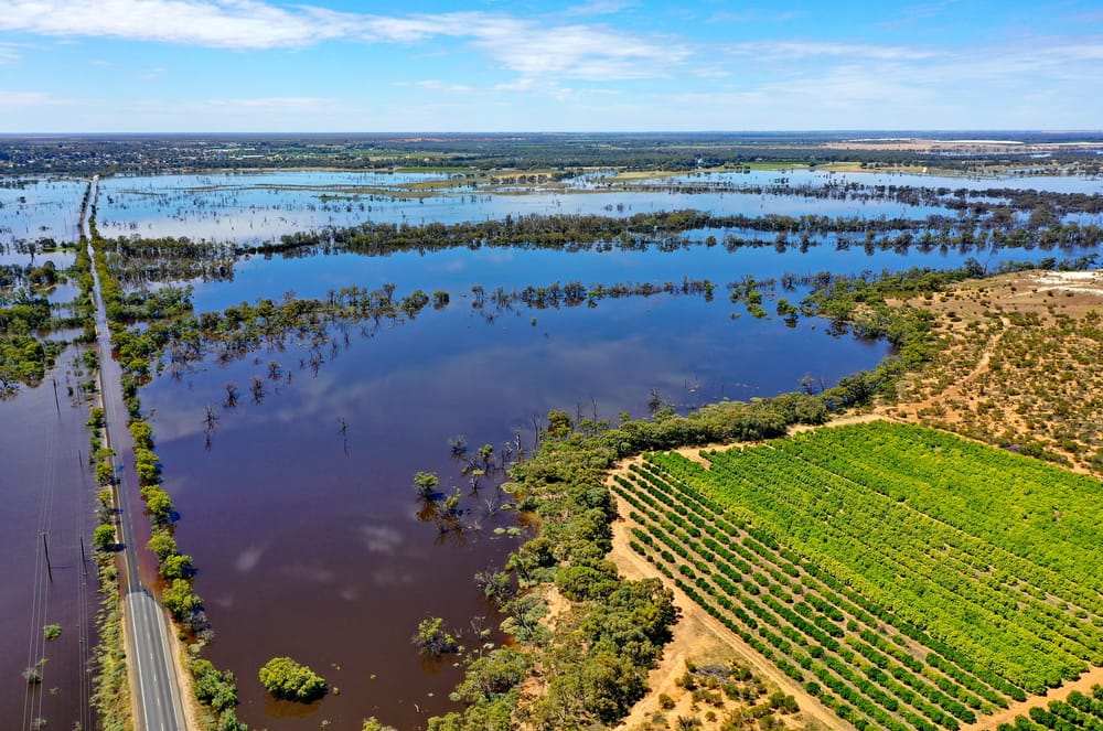 Flood insurance information session in Adelaide next week post image