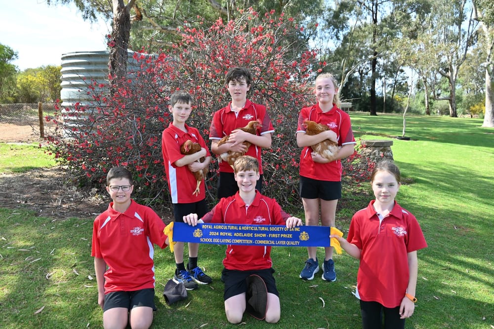 Ramco students’ award-winning hens post image