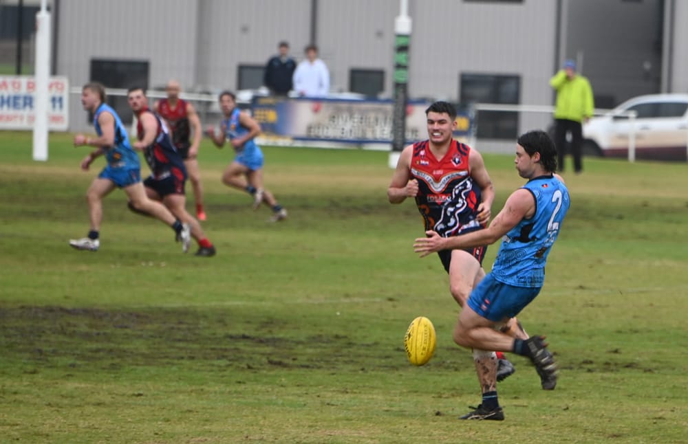 Roos strangle Demons in rivalry clash post image
