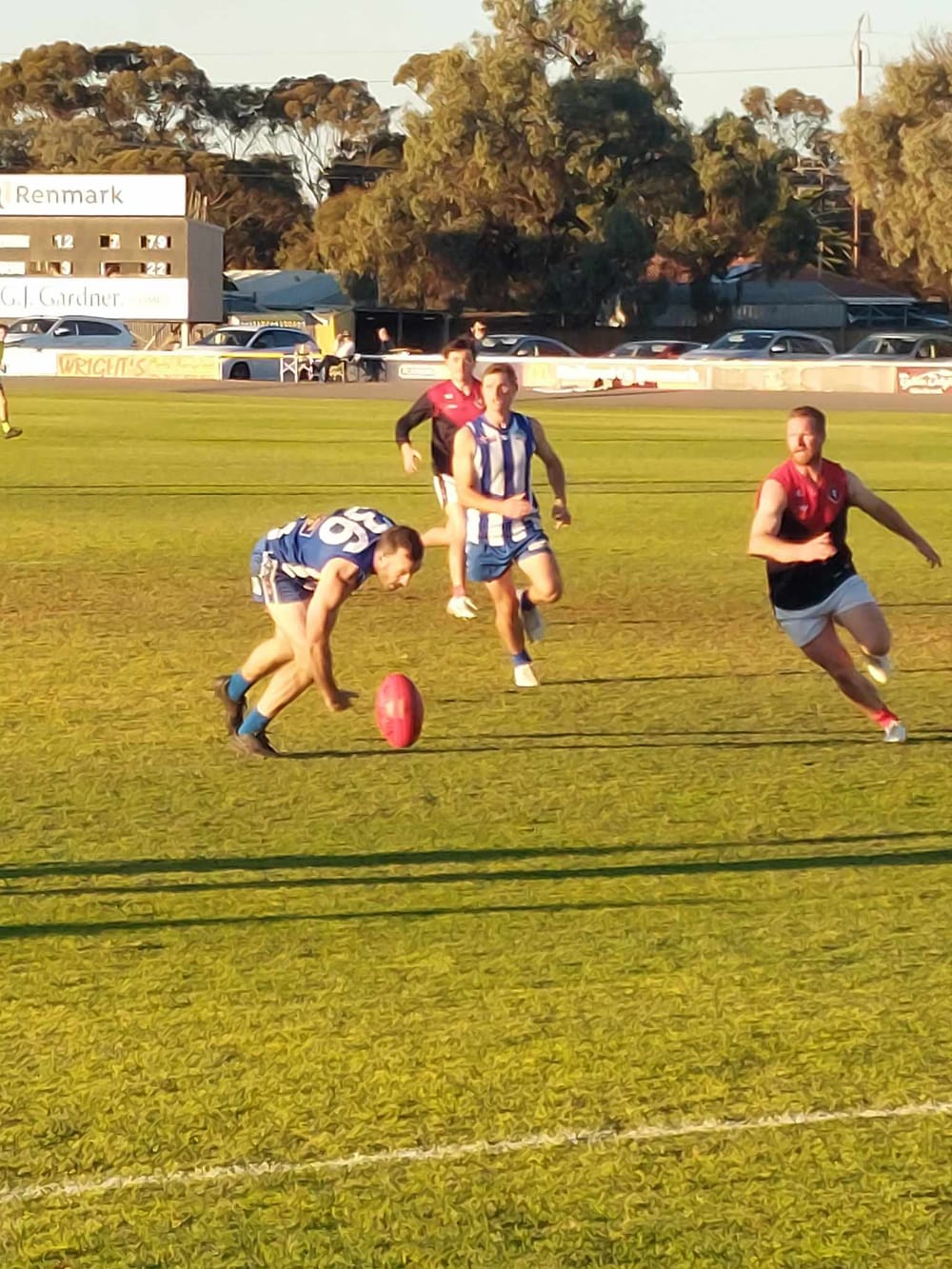 Rovers maul Demons at the kennel post image