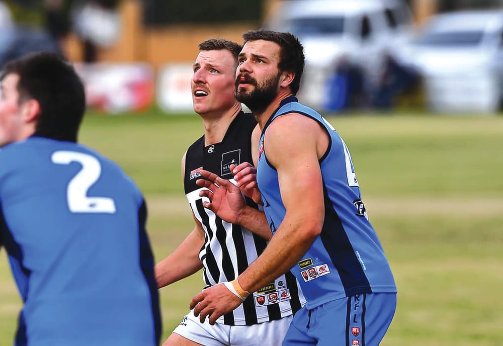 Roo duo returns post image