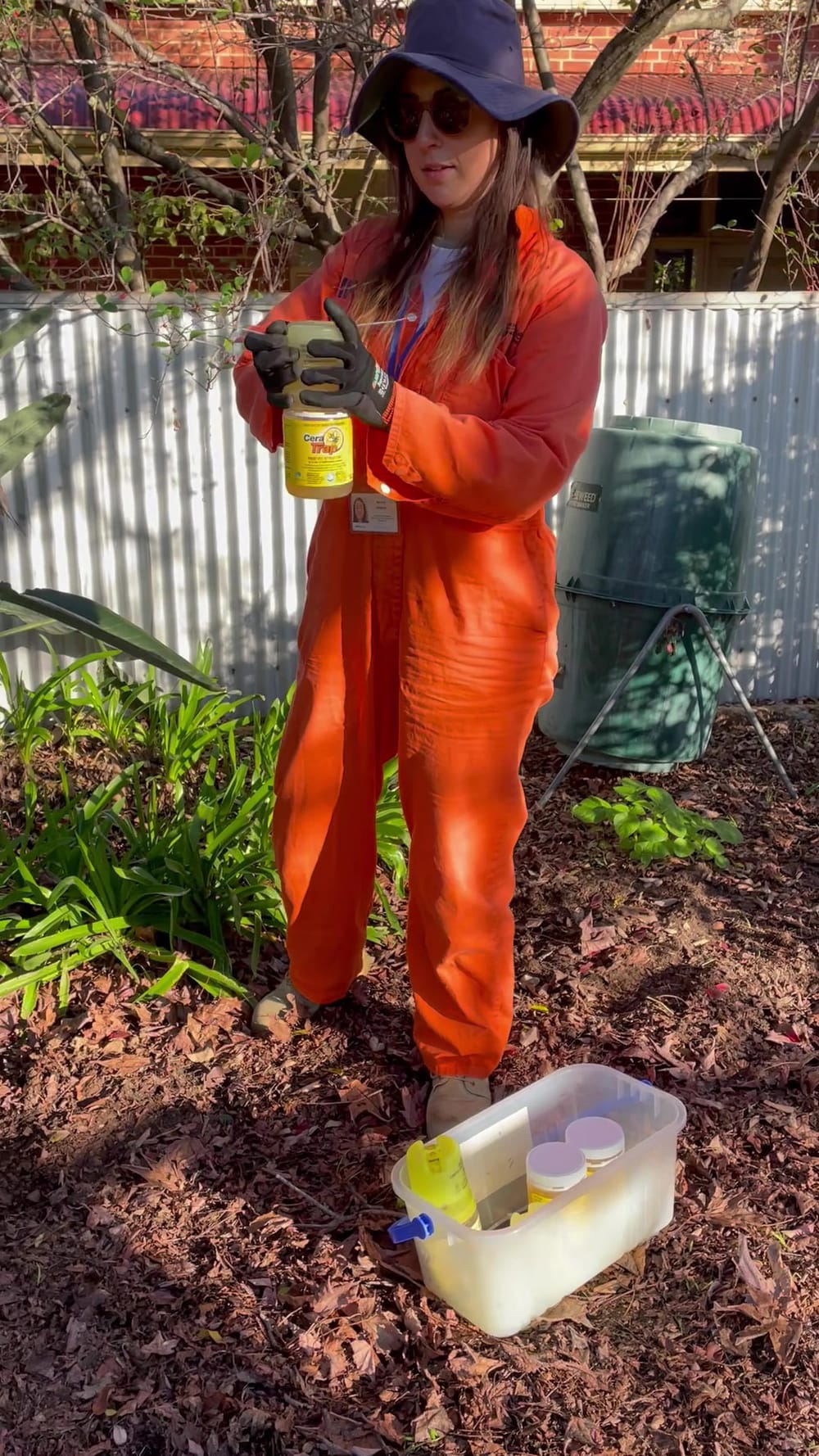 Local Leanne joins fruit fly response team post image