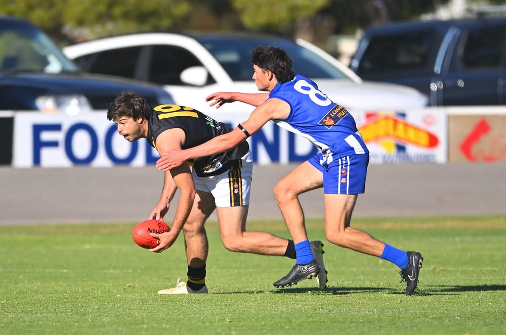 Tiger cubs bring the heat in Renmark post image