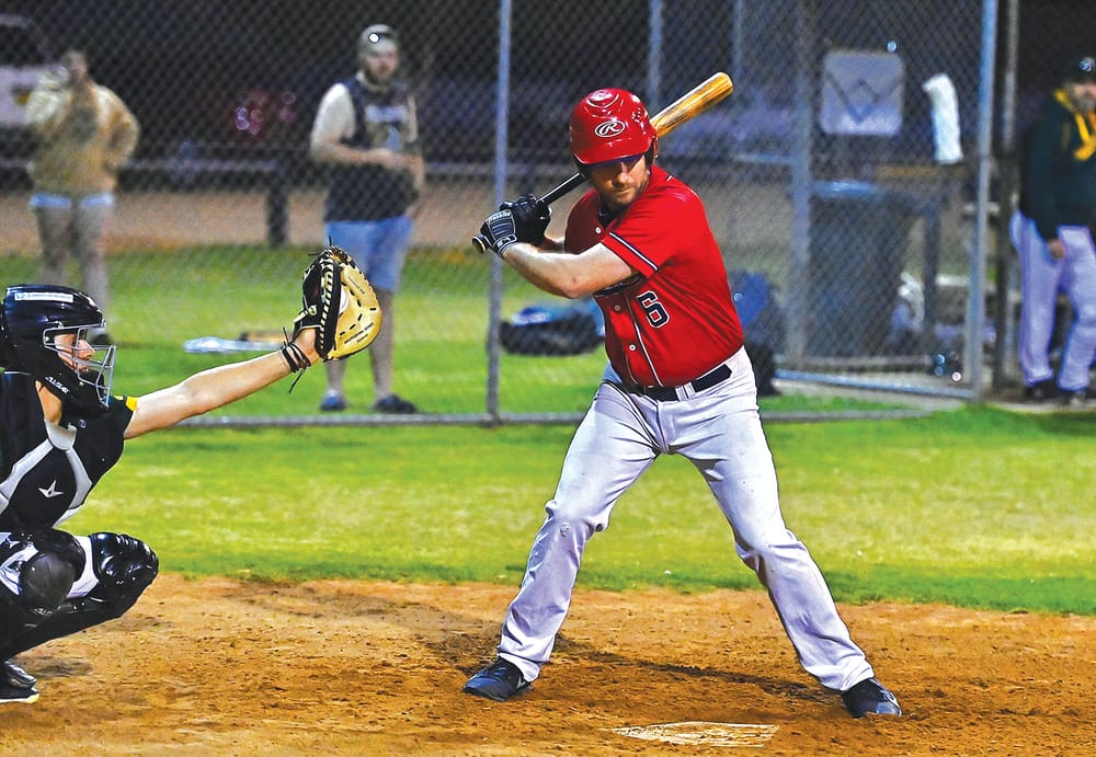 Goldspink stars in baseball post image