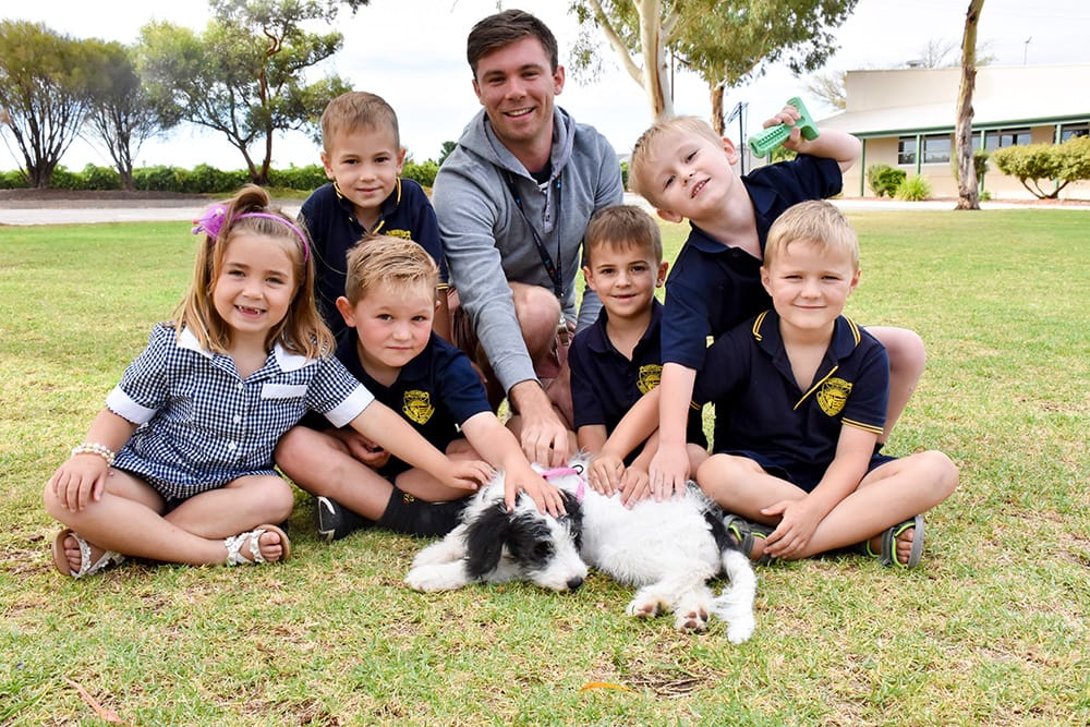 Scout’s ‘paw-sitive’ impact post image