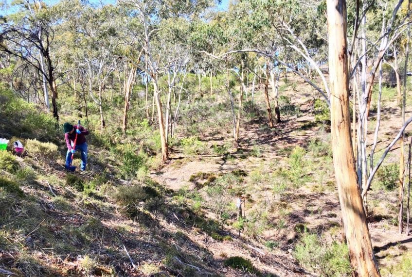 Grants for local environmental projects post image