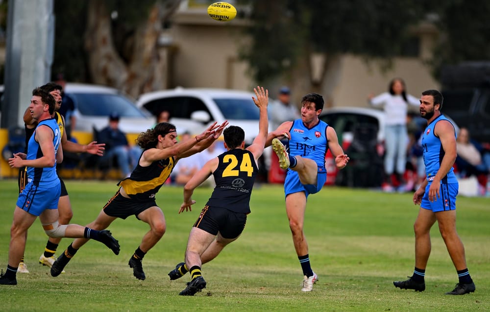 Beech bags five as Roos bounce back post image