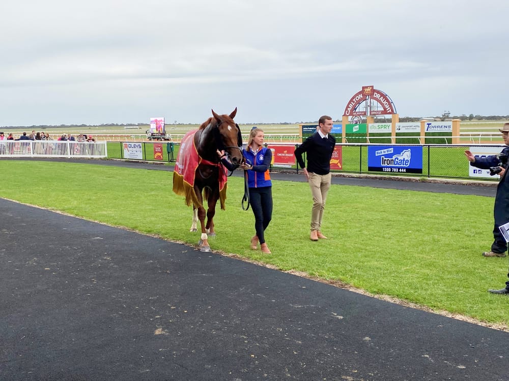 Riverland councils baulk at ‘impossible’ racecourse idea... Scratched post image