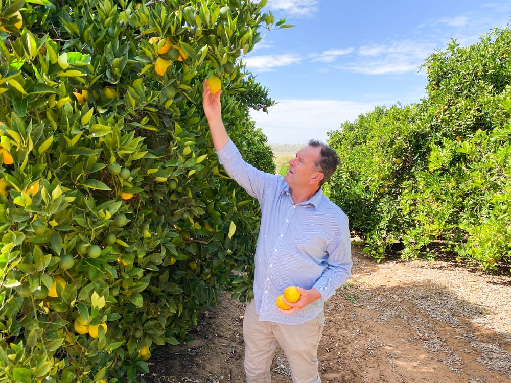 Backyard battle as fruit fly list grows post image