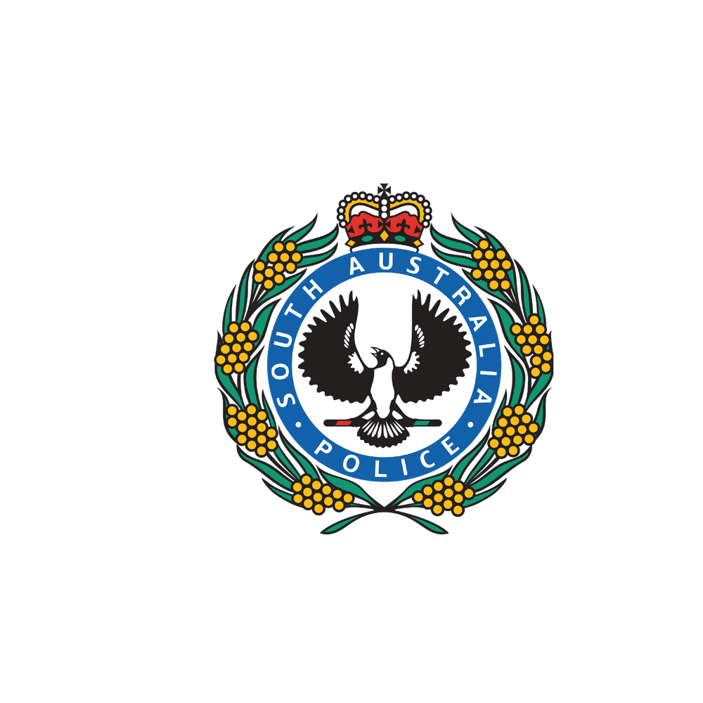 Tackling South Australian domestic violence abuse post image