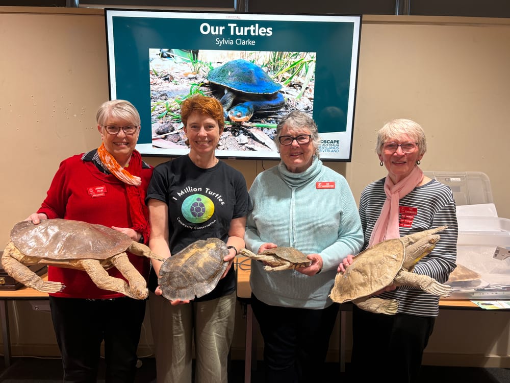 One shell of an insight for Loxton Probus ladies post image