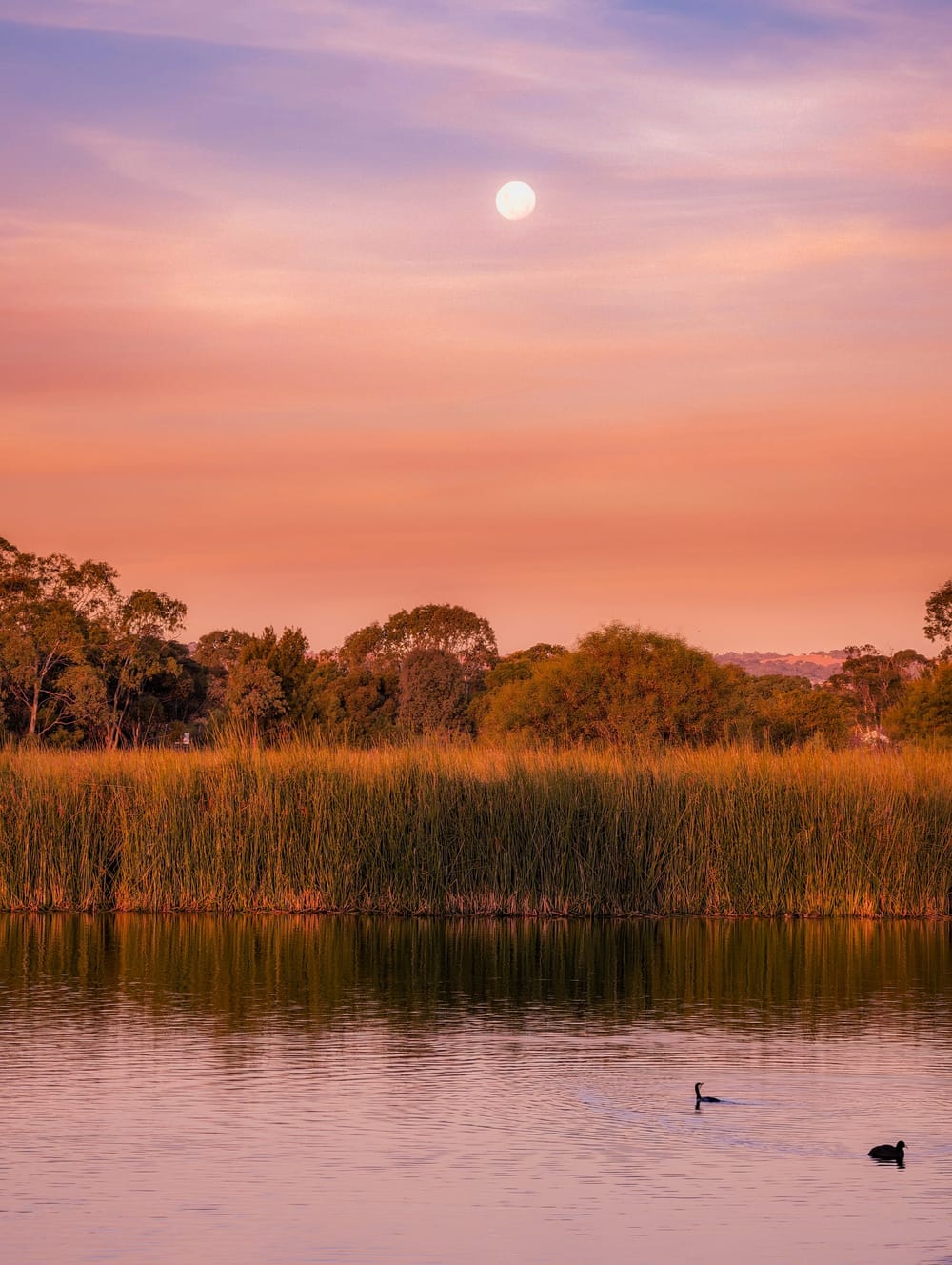 Grants to fund vital works in national parks post image