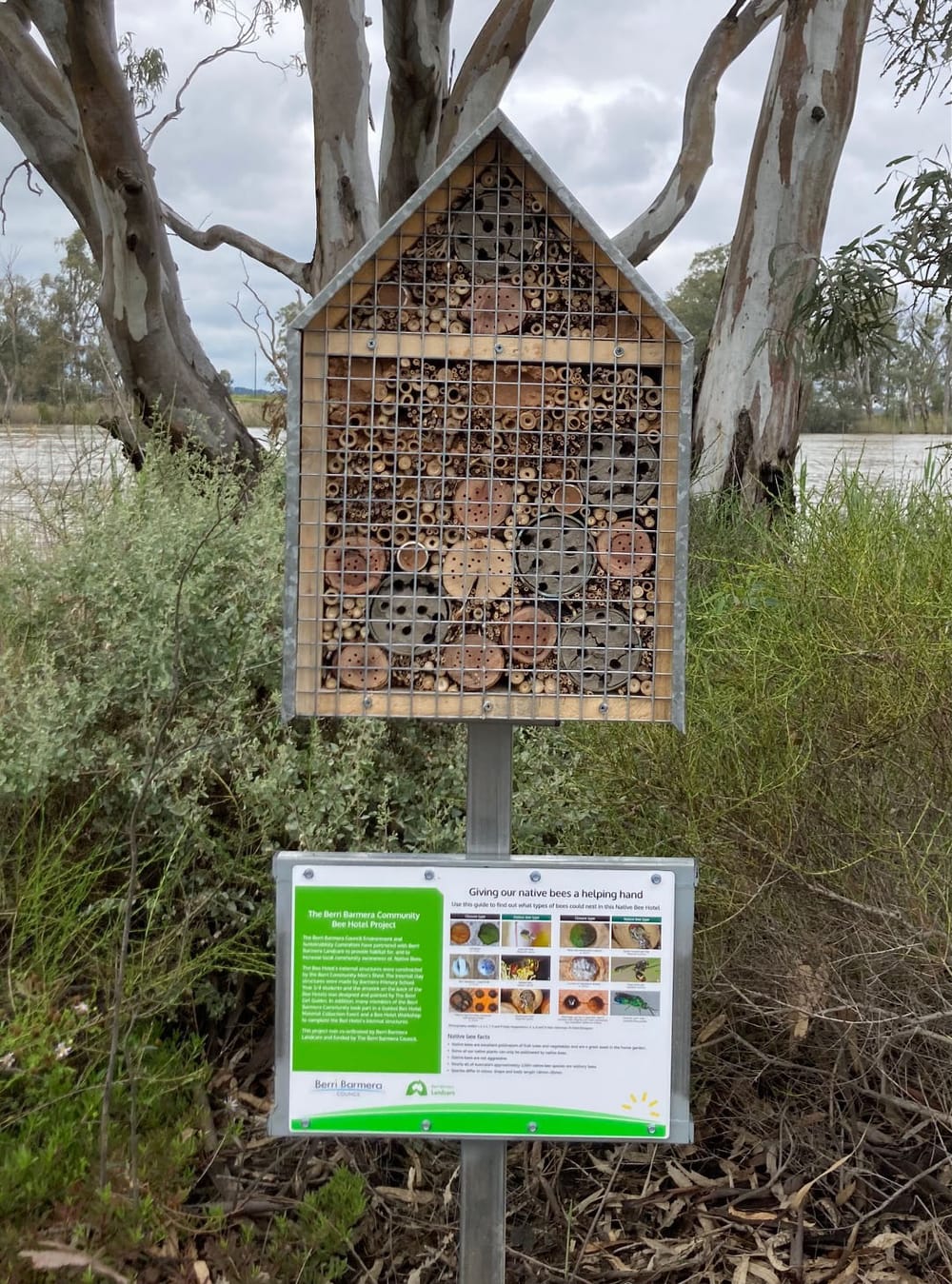Berri Barmera buzzing about bee hotel hunt post image