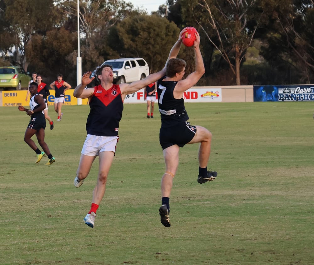 Panthers keep in touch with top four post image