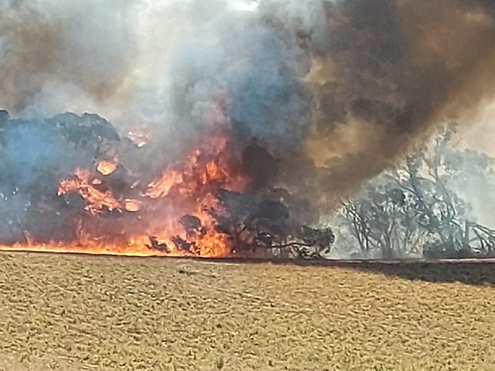 Lightning sparks 14 weekend fires post image
