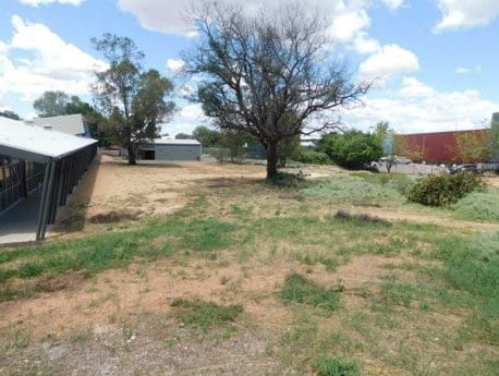 Tram’s $26K for cultural garden post image
