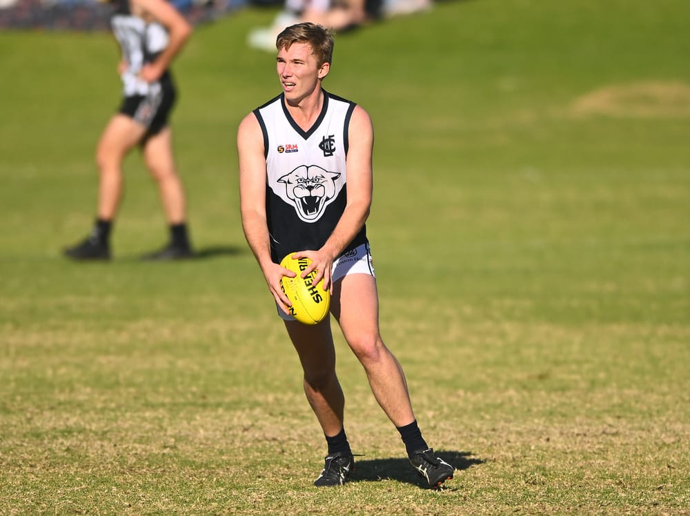 Prolific Wooldrige on top for Panthers post image