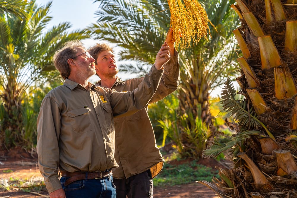 Dates with destiny: Supermarket giant’s $400k grant to boost Riverland business post image