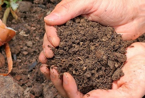 Soil measurement grant program opens post image