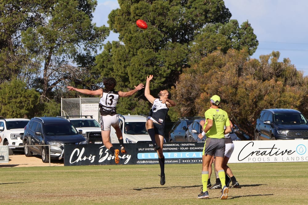 Superdogs face off against Kookaburras: post image