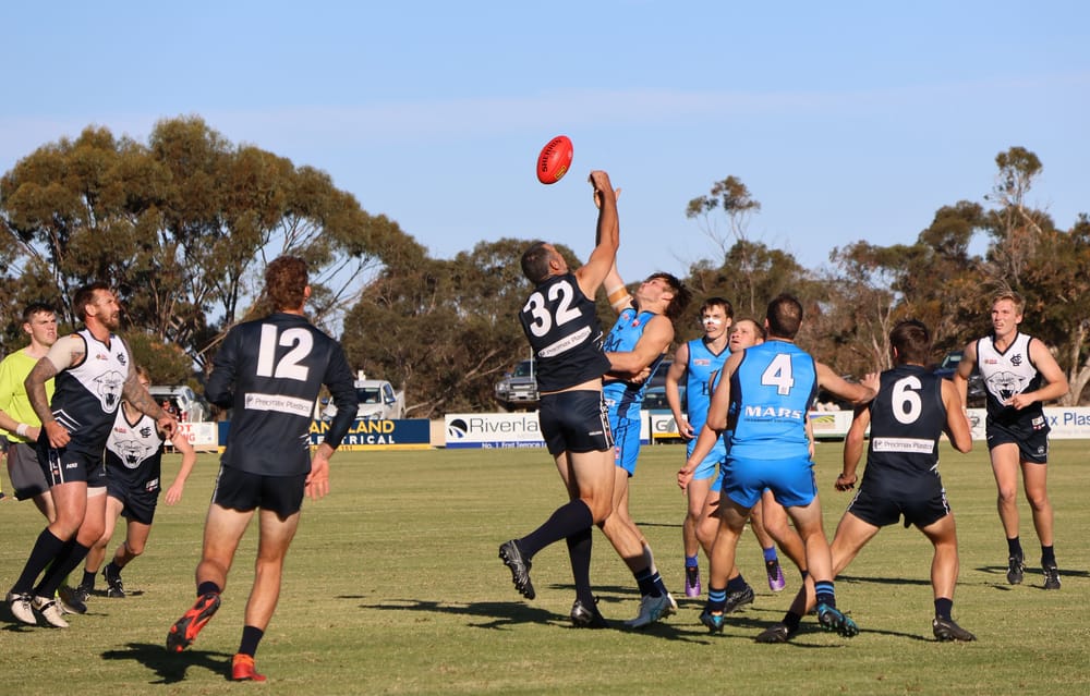 Roos bounce past Panthers with big second half post image