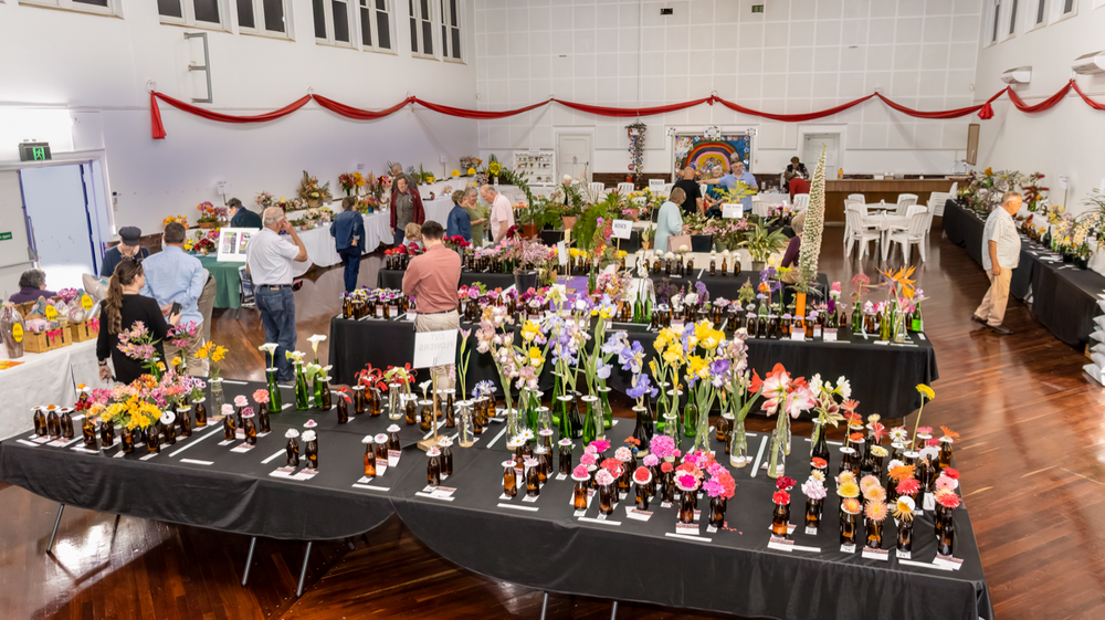 Waikerie’s ‘bright and beautiful’ flowers post image