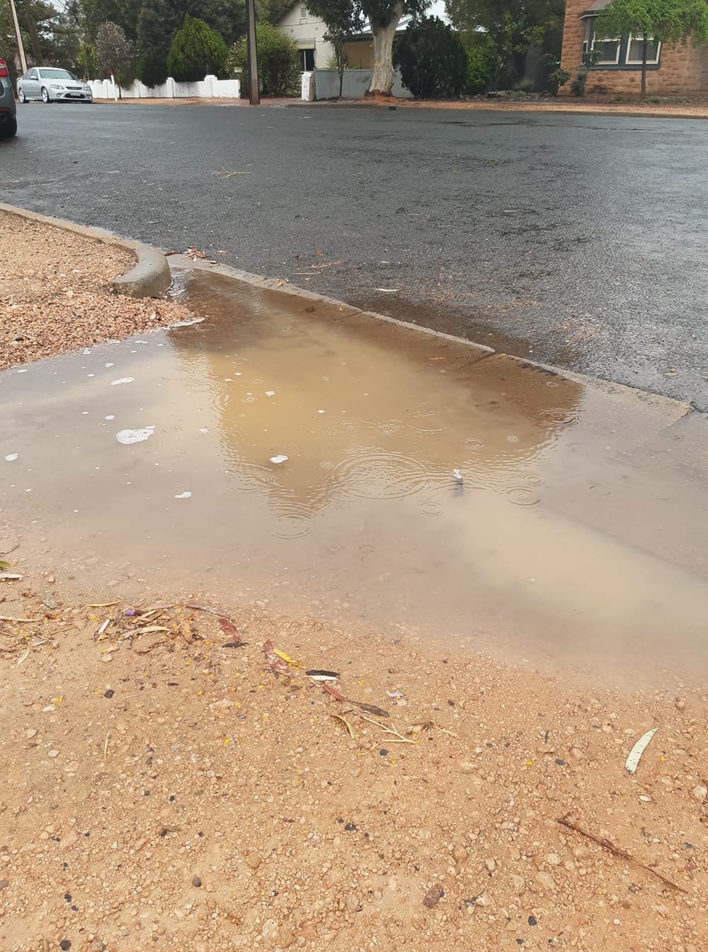 2020 rainfall improves following weekend downpour post image