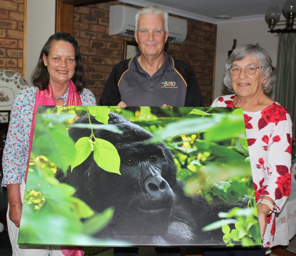 Jungle trek with Grant post image