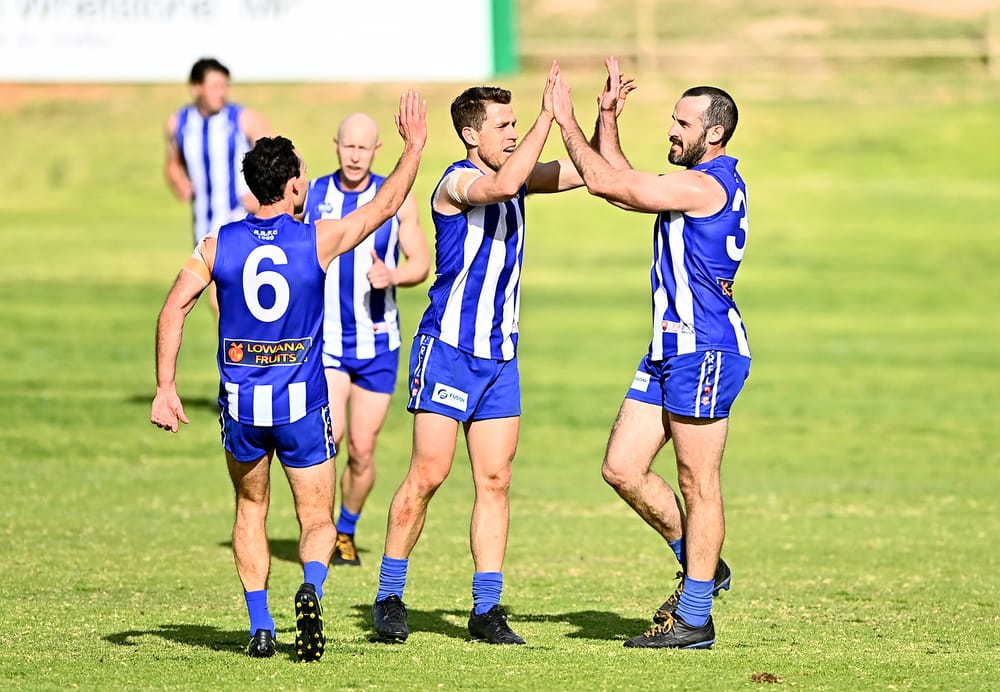 PAT MICKAN: The smell of liniment and the crunch of footy sprigs post image